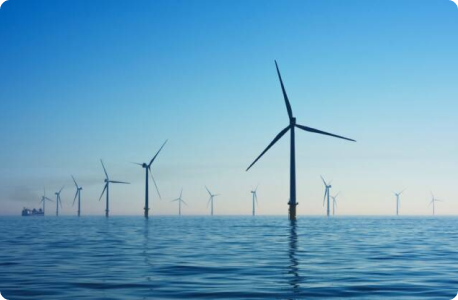 How to choose the right carbon credit projects for your company? 