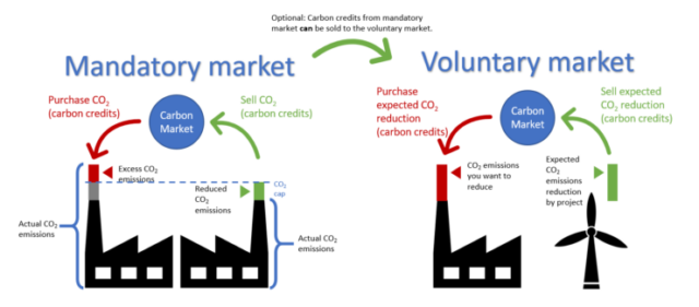 What is a Voluntary Carbon Marketplace(VCM)?